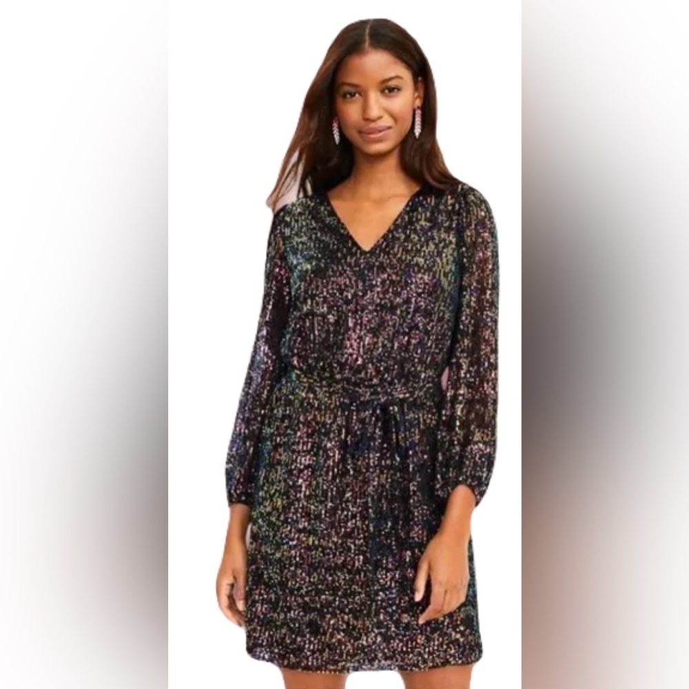 Loft Metallic Sequin V neck Long sleeve Dress